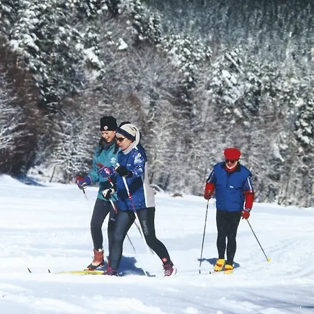 Hirsch Mit Cafe Kloesterle Hotel Enzklösterle
