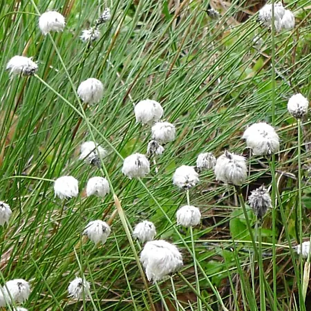 Hirsch Mit Cafe Kloesterle Hotel