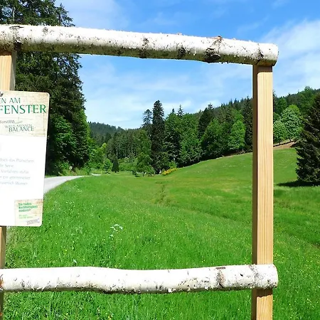 Ξενοδοχείο Hirsch Mit Cafe Kloesterle Enzklösterle