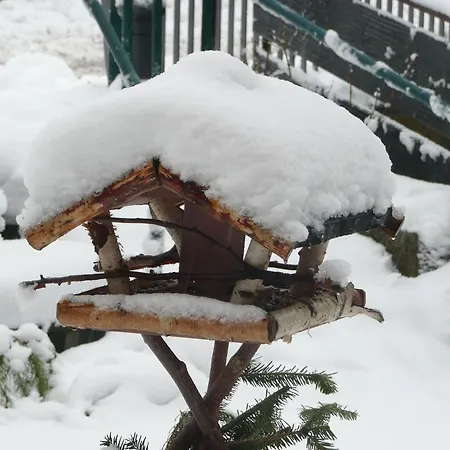 Ξενοδοχείο Hirsch Mit Cafe Kloesterle Enzklösterle