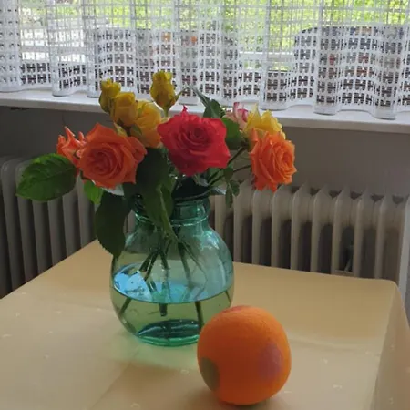 Hotel Hirsch Mit Café Klösterle Enzklösterle