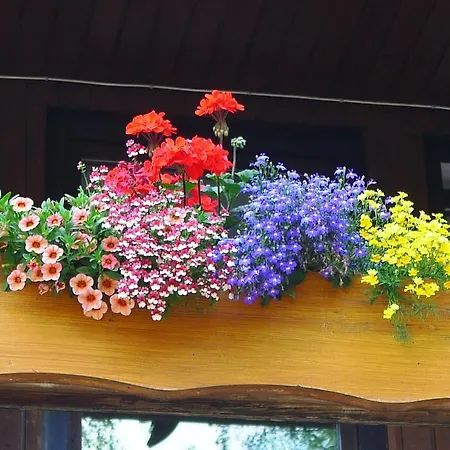 Hirsch Mit Cafe Kloesterle 3*