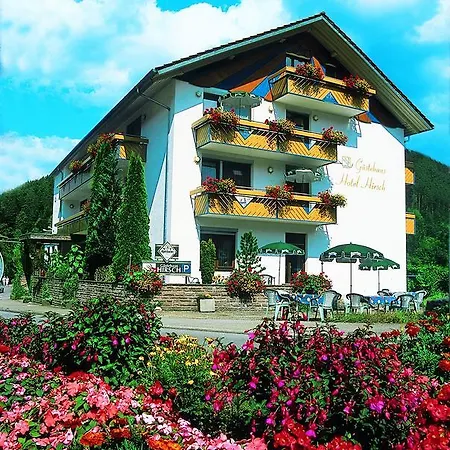 Hotel Hirsch Mit Cafe Kloesterle Enzklösterle