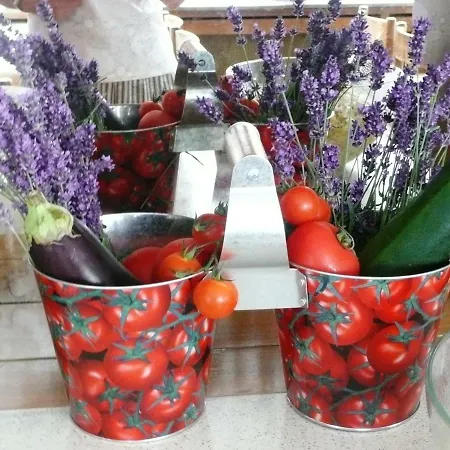 Hirsch Mit Cafe Kloesterle Hotel 3*