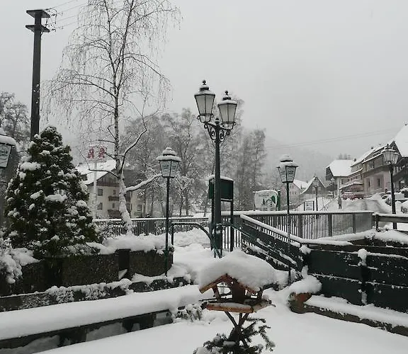 Hirsch Mit Cafe Kloesterle Hotell 3*