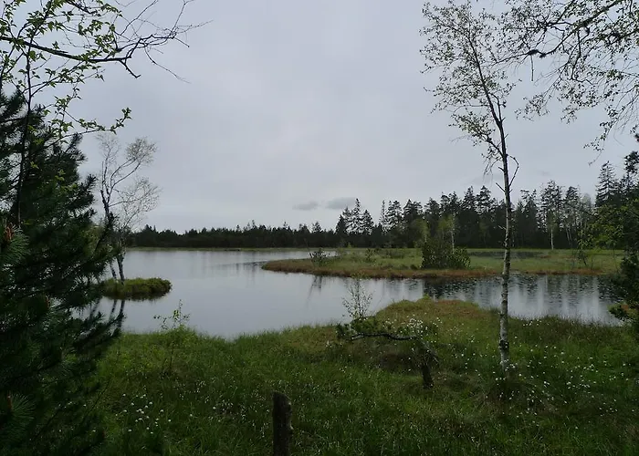 Hirsch Mit Cafe Kloesterle Hotell 3*