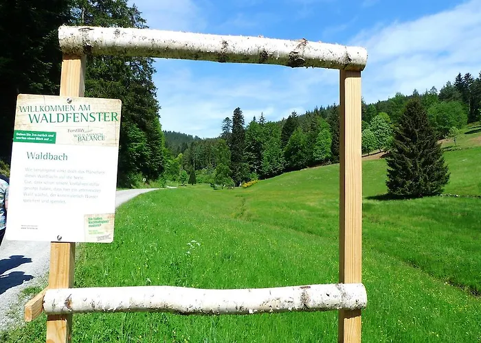 Hotell Hirsch Mit Cafe Kloesterle Enzklösterle