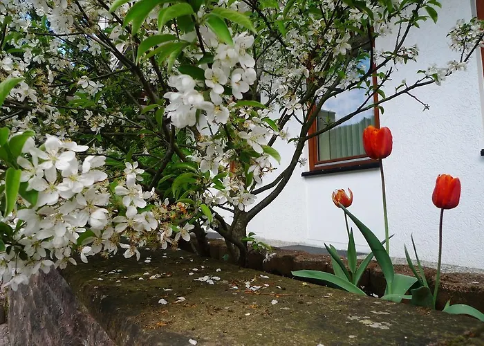 Hirsch Mit Cafe Kloesterle 3* Enzklösterle