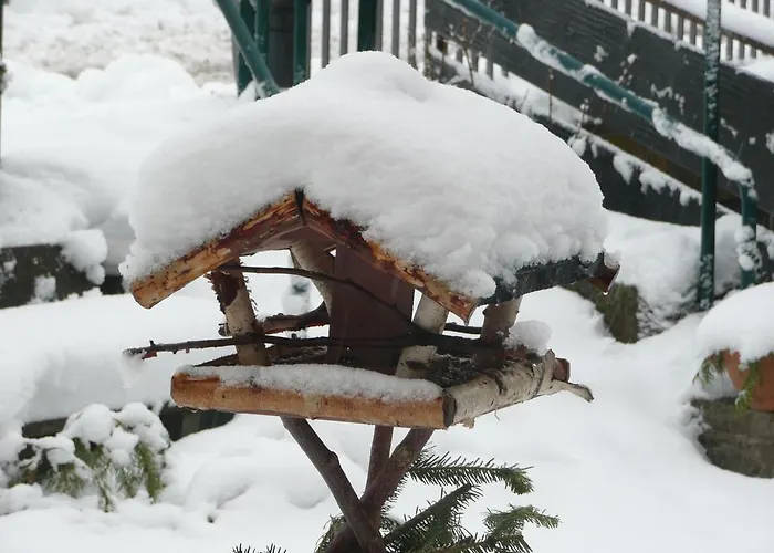 Hotell Hirsch Mit Cafe Kloesterle Enzklösterle