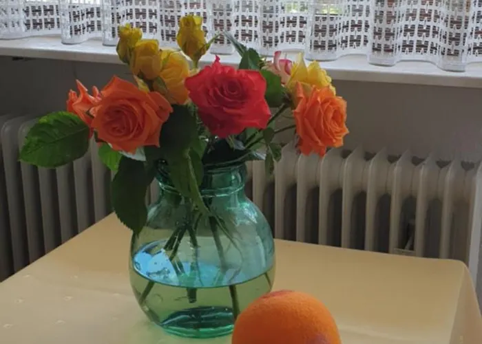 Hotell Hirsch Mit Cafe Kloesterle Enzklösterle