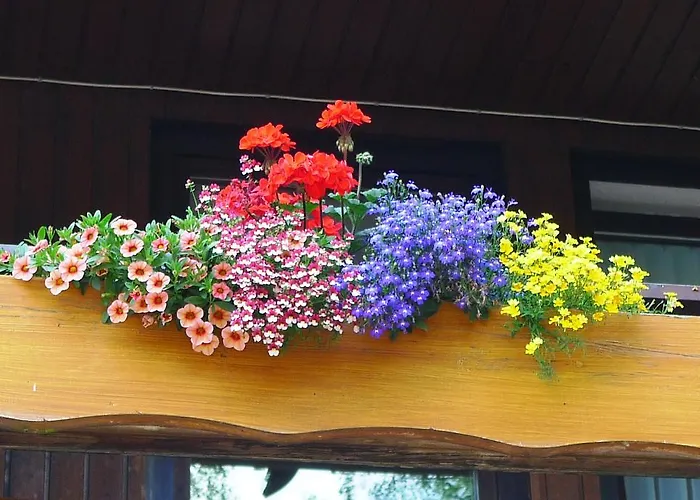 Hirsch Mit Cafe Kloesterle 3*