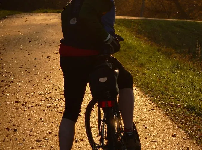 Hirsch Mit Cafe Kloesterle Enzklösterle