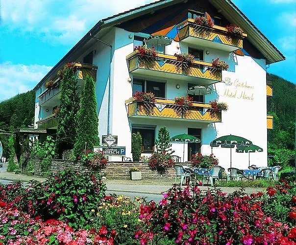 Hotell Hirsch Mit Cafe Kloesterle Enzklösterle